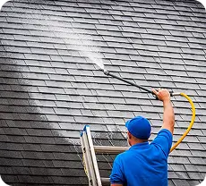 Roof Soft Washing