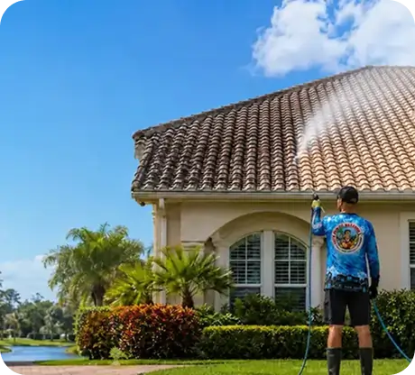 Professional residential roof cleaning by City Power Washing