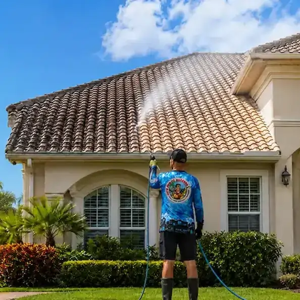 Soft wash roof cleaning removing algae and black roof streaks